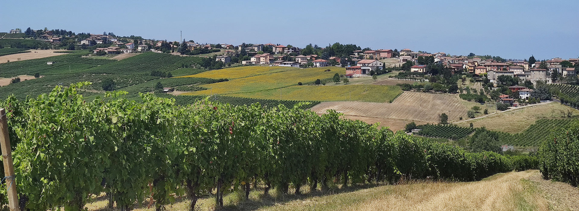 Farmhouse and Winery in Italy | Bonarda Wine Italy Frizzante |  Wineries in Emilia Romagna Italy